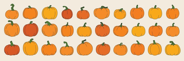 Vector lange collection of pumpkins colored outline hand drawn pumpkins icon set decoration for harvest
