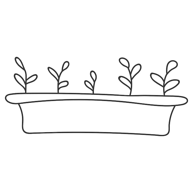 Lange lage bloempot met jonge groene planten Groenspruiten in een lange pot Zaailing