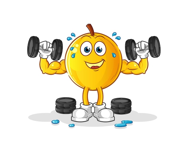 Langsat fruit weight training illustration. character vector