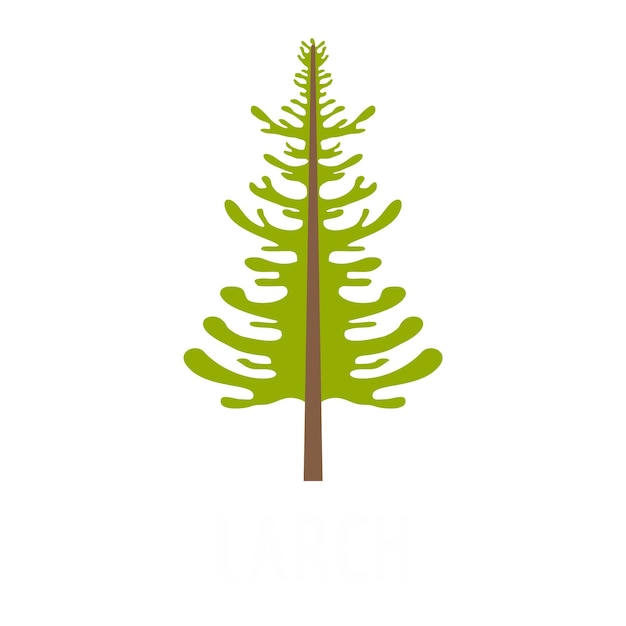 larch tree icon Flat illustration of larch tree vector icon isolated on white background