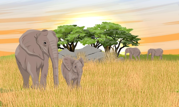 Vettore grandi elefanti africani di bush ed elefantino nella savana africana con alberi di acacia