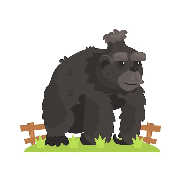 野外動物園の囲いの緑の草のパッチの上に立っているだらしない毛皮を持つ大きな黒いゴリラ