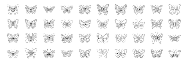 Large collection of butterflies in doodle style Set of abstract butterfly Simple hand drawn