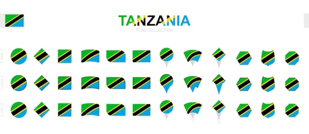 Large collection of Tanzania flags of various shapes and effects