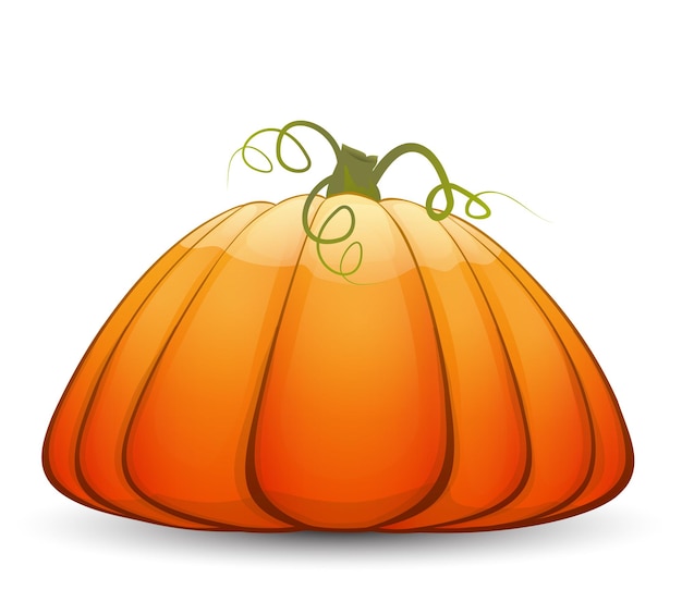 A large festive pumpkin. Vector illustration in cartoon style