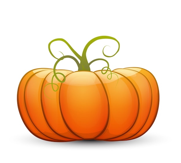 A large festive pumpkin. vector illustration in cartoon style