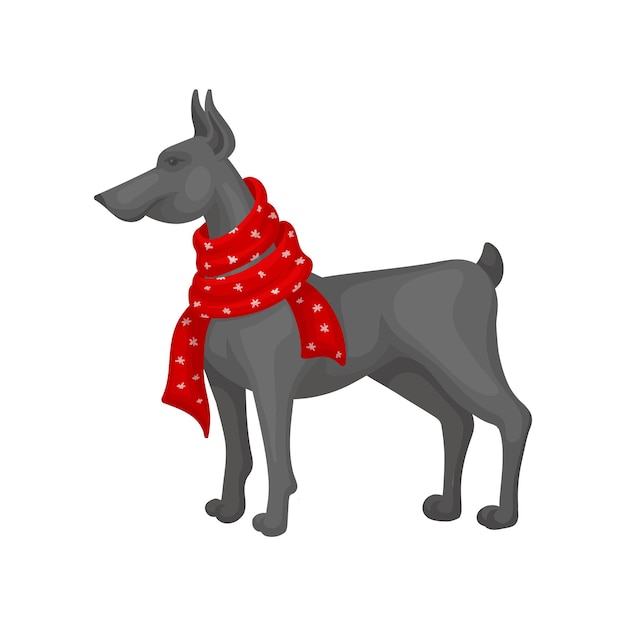 Large gray dog wearing warm red scarf Domestic animal Christmas gift Graphic element for poster or postcard Cartoon vector design Colorful illustration in flat style isolated on white background