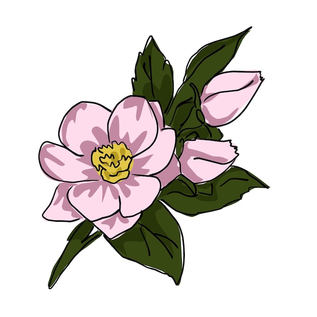 흰색 배경에 녹색 잎이 있는 큰 분홍색 꽃 만화 스케치