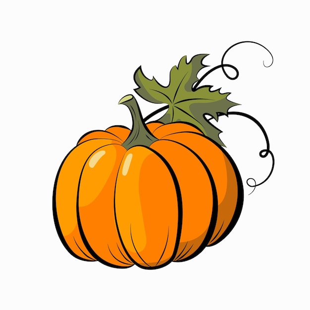 Vector large ripe pumpkin