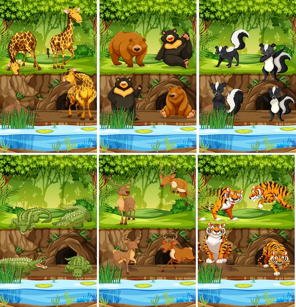 Large set of animals in jungle