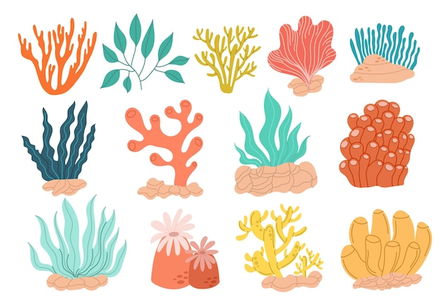 A large set of colorful modern seaweeds of different variations on a white background