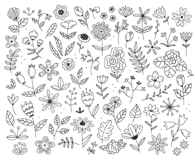 A large set of different flowers and plants in simple doodle style isolated floral illustration