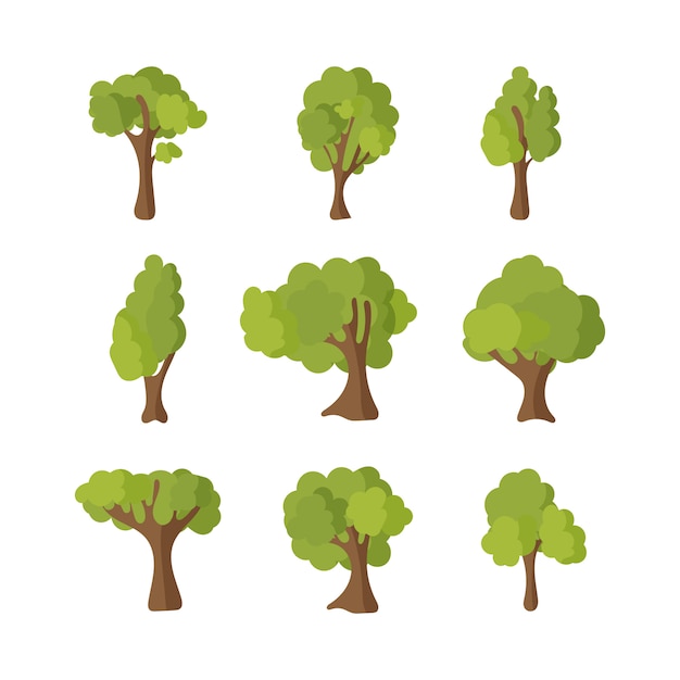 Large set of different trees. green plants in forest.