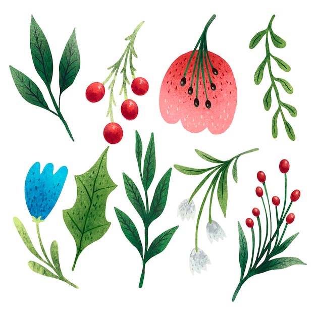 A large set of illustrations of leaves, twigs and flowers