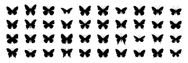 Большой набор силуэта бабочки Черный силуэт бабочки на белом фоне