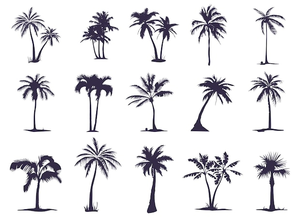 A large set of silhouettes of palm trees (15 pieces). palm tree silhouette for your needs and art