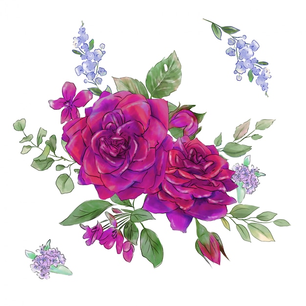 Vector a large set of watercolors tender roses super quality.