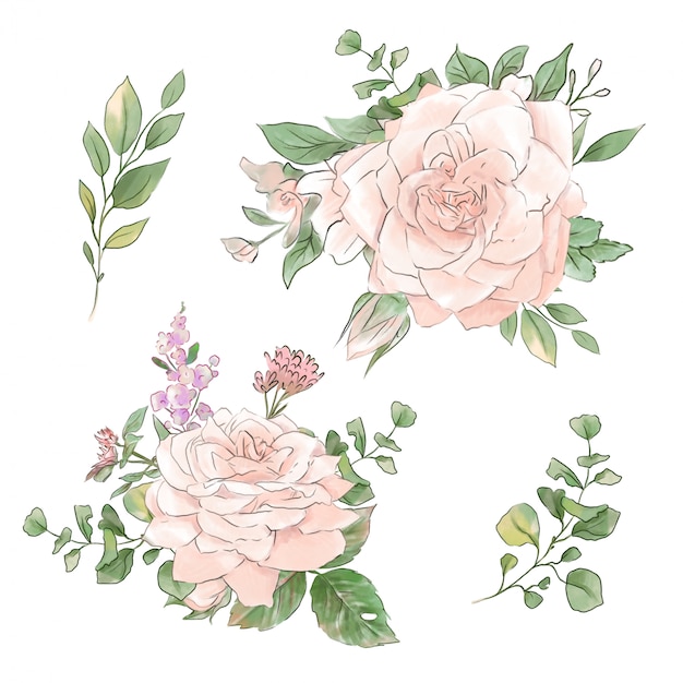 A large set of watercolors tender roses