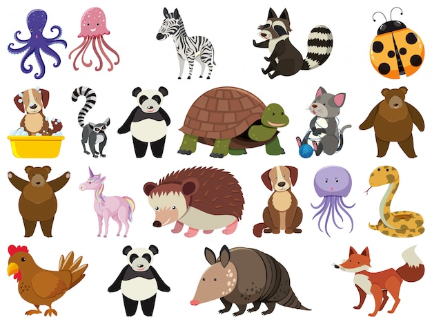 Large set of wild animals on white background