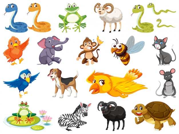 Vector large set of wild animals on white background