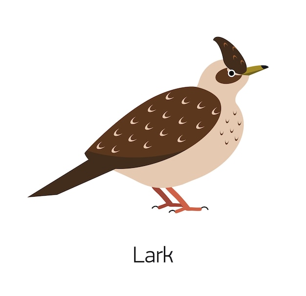 Lark isolated on white background. Beautiful forest passerine bird, adorable woodland songbird. Funny birdie. Avian species. Modern colorful vector illustration in trendy flat geometric style.