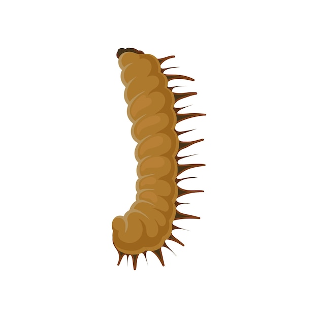 Larva di farfalla bruco marrone insetto con molte gambe elemento grafico per libro biologico o poster infografico illustrazione vettoriale colorato in stile piatto isolato su sfondo bianco