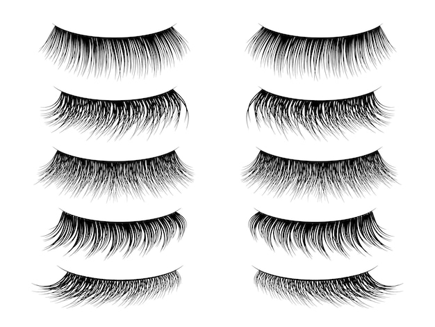 Lashes false Realistic fake eyelashes collection thick long and natural lash on closed female eye Trendy women beauty salon makeup Sexy glamour mascara vector 3d isolated on white set