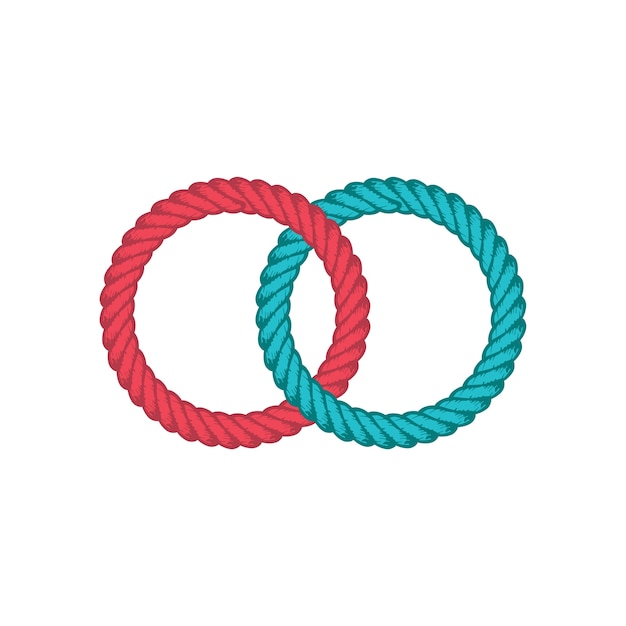 Lasso rope vector