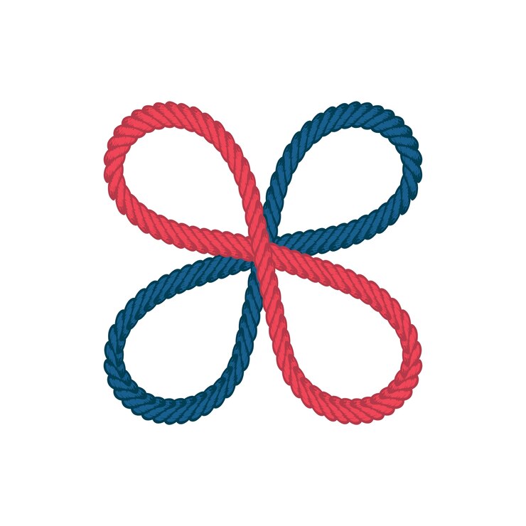 lasso rope vector
