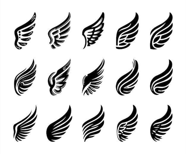 the latest collection of modern and newest wing illustrations
