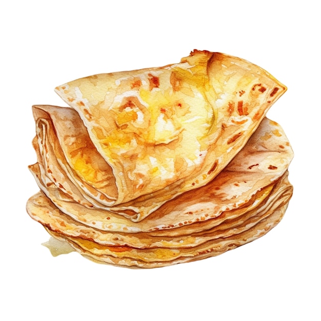 lavash vector