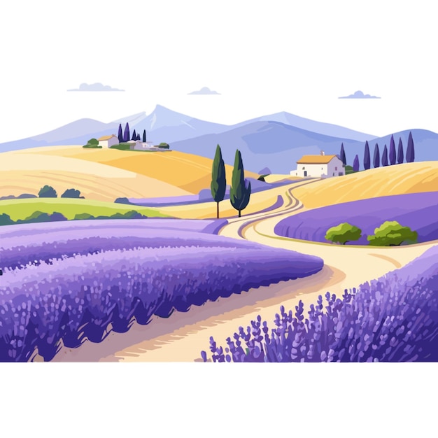 Lavendar vector