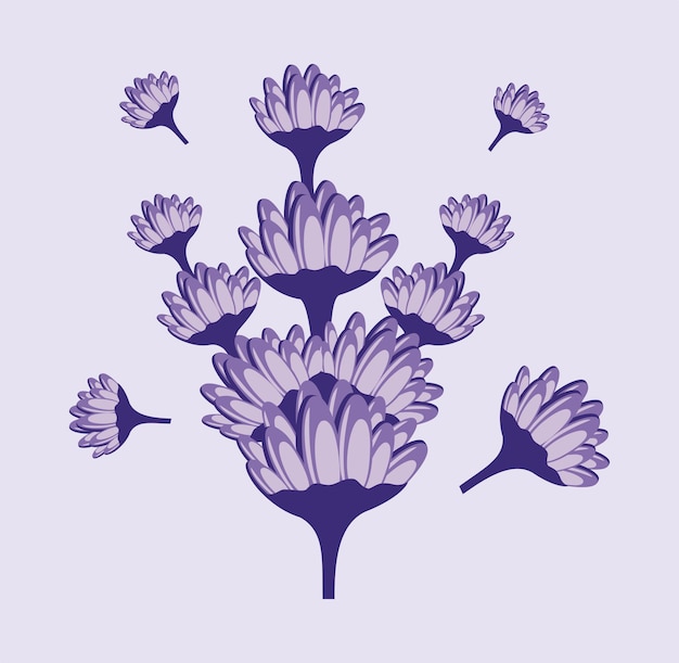 Vector lavendel bloem ontwerp illustratie