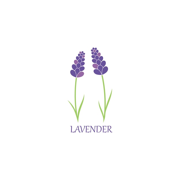 Lavendel bloemen aromatische logo vector pictogram illustratie