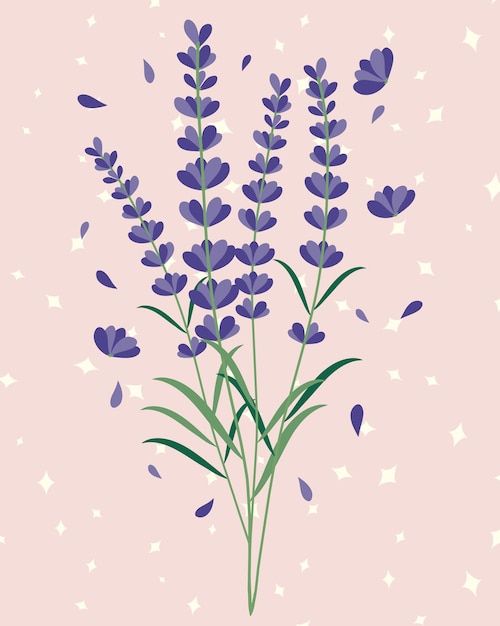 Lavendel bloemen boeket illustratie