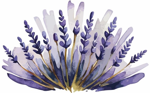 Vector lavendel bloemen kunst illustratie