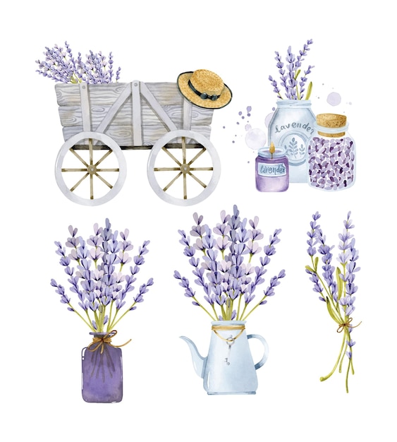 Lavendel boeketten in houten kar, vazen en pot. aquarel clipart met provençaalse stijl