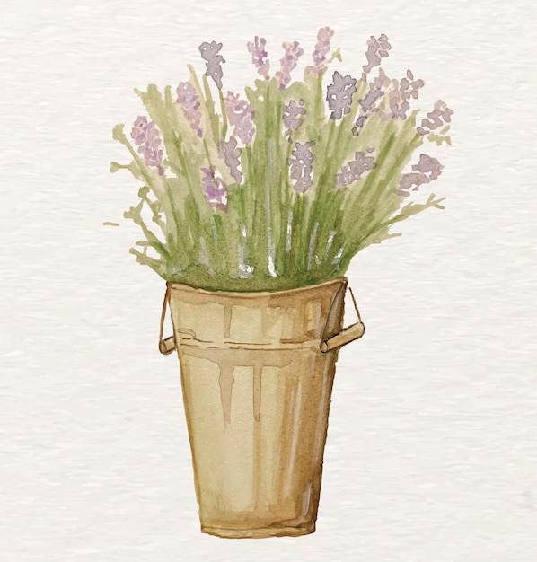 Lavendel emmer aquarel