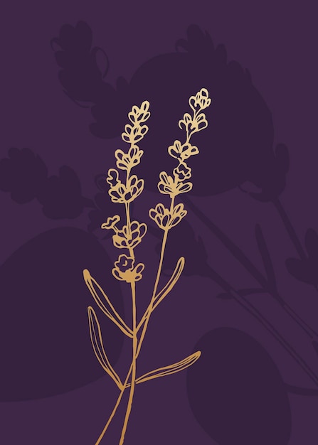 Lavendel Handgeschilderde illustraties voor wanddecoratie minimalistische bloem in schetsstijl