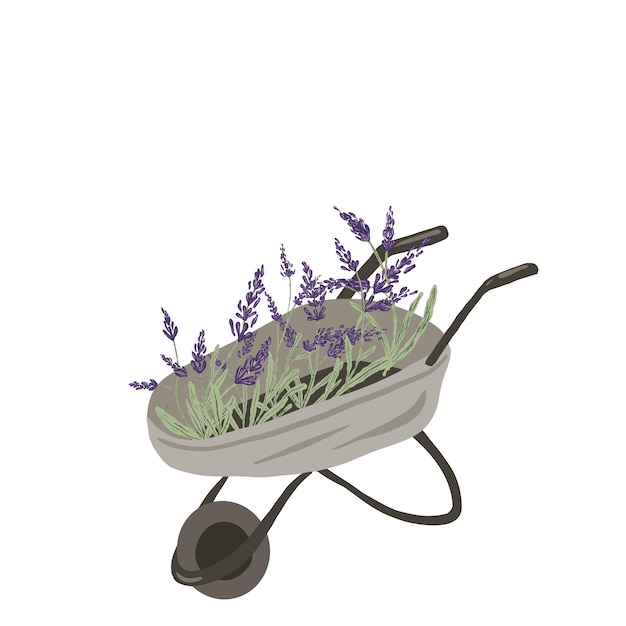 LAVENDEL IN EEN TUINKAART