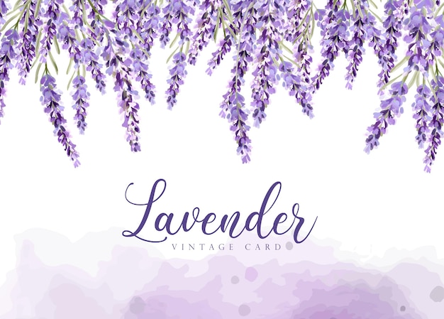 Lavendel kaart vector aquarel provence bloemen banner achtergronden