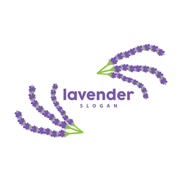 Lavendel Logo Eenvoudige Elegante Paarse Bloem Plant Vector Wenskaart Ontwerp Banner Bloem Ornament Lavendel Hand Getrokken Bruiloft Pictogram Symbool Illustratie