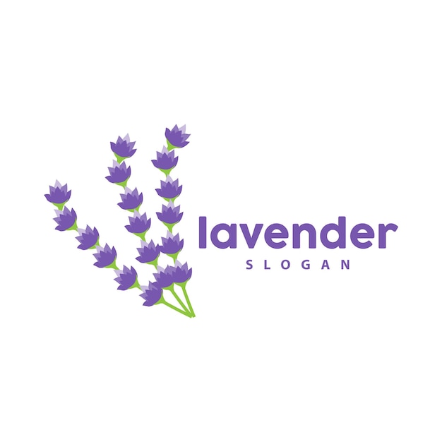 Lavendel Logo Eenvoudige Elegante Paarse Bloem Plant Vector Wenskaart Ontwerp Banner Bloem Ornament Lavendel Hand Getrokken Bruiloft Pictogram Symbool Illustratie