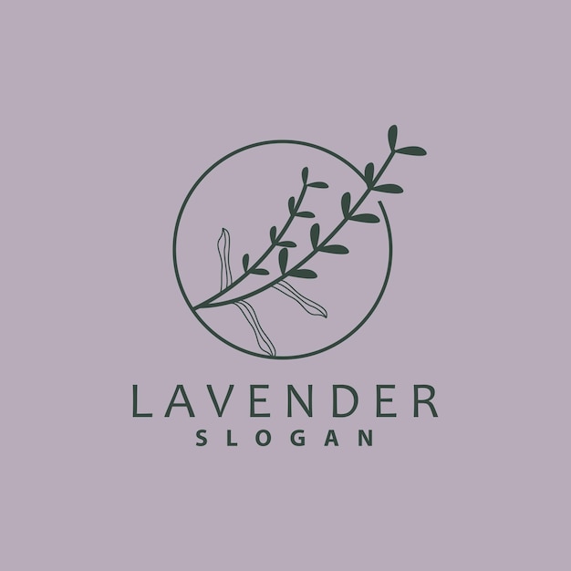 Lavendel Logo Eenvoudige Elegante Paarse Bloem Plant Vector Wenskaart Ontwerp Banner Bloem Ornament Lavendel Hand Getrokken Bruiloft Pictogram Symbool Illustratie