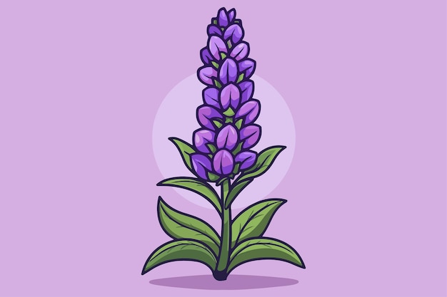 Lavendel