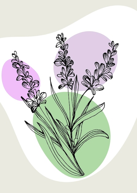 Vettore illustrazioni dipinte a mano astratte lavanda per la decorazione della parete cartolina social media banner