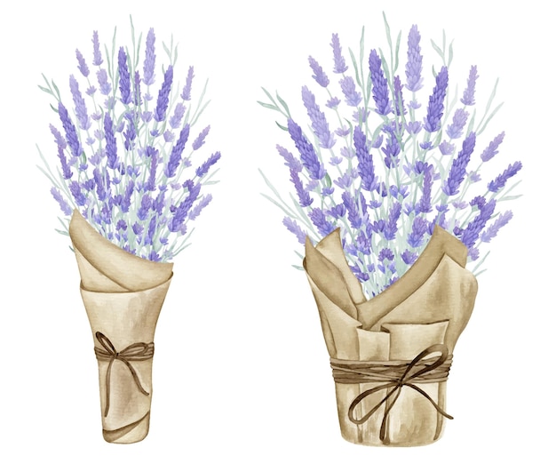 Vettore mazzi di fiori di lavanda collezione di acquerelli elem clipart disegnati a mano