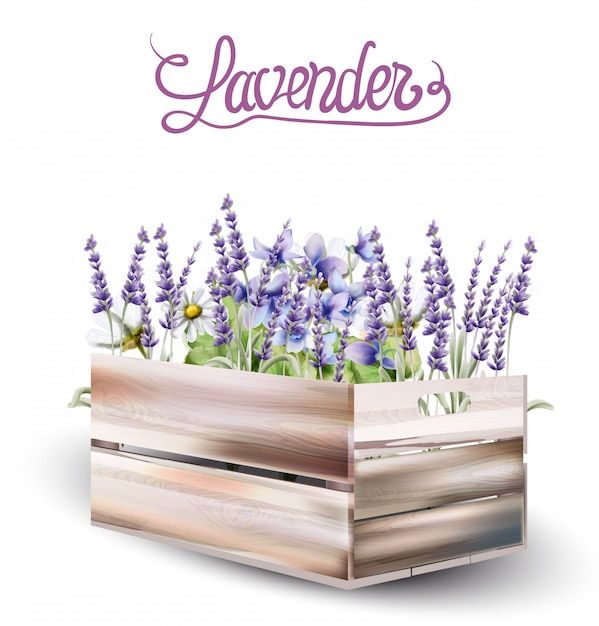 Lavender box card watercolor