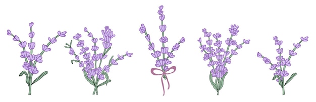 カードや招待状のデザイン用のラベンダーのカラフルな花の花束ベクトル手描きイラスト