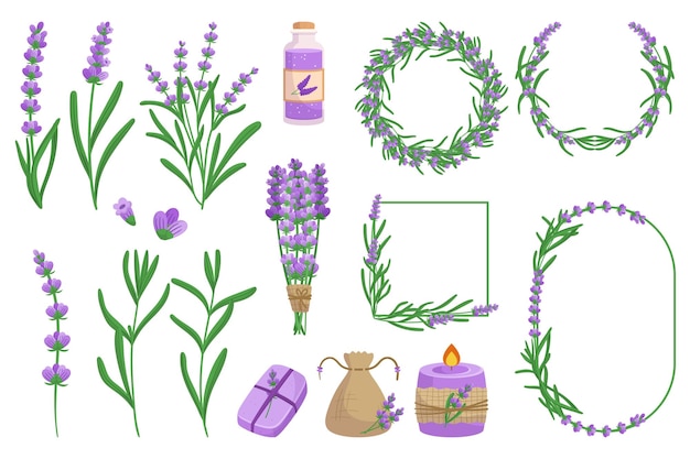 Set di elementi di lavanda collezione di elementi a tema lavanda tra cui fiori, foglie e rametti, bottiglia di sapone